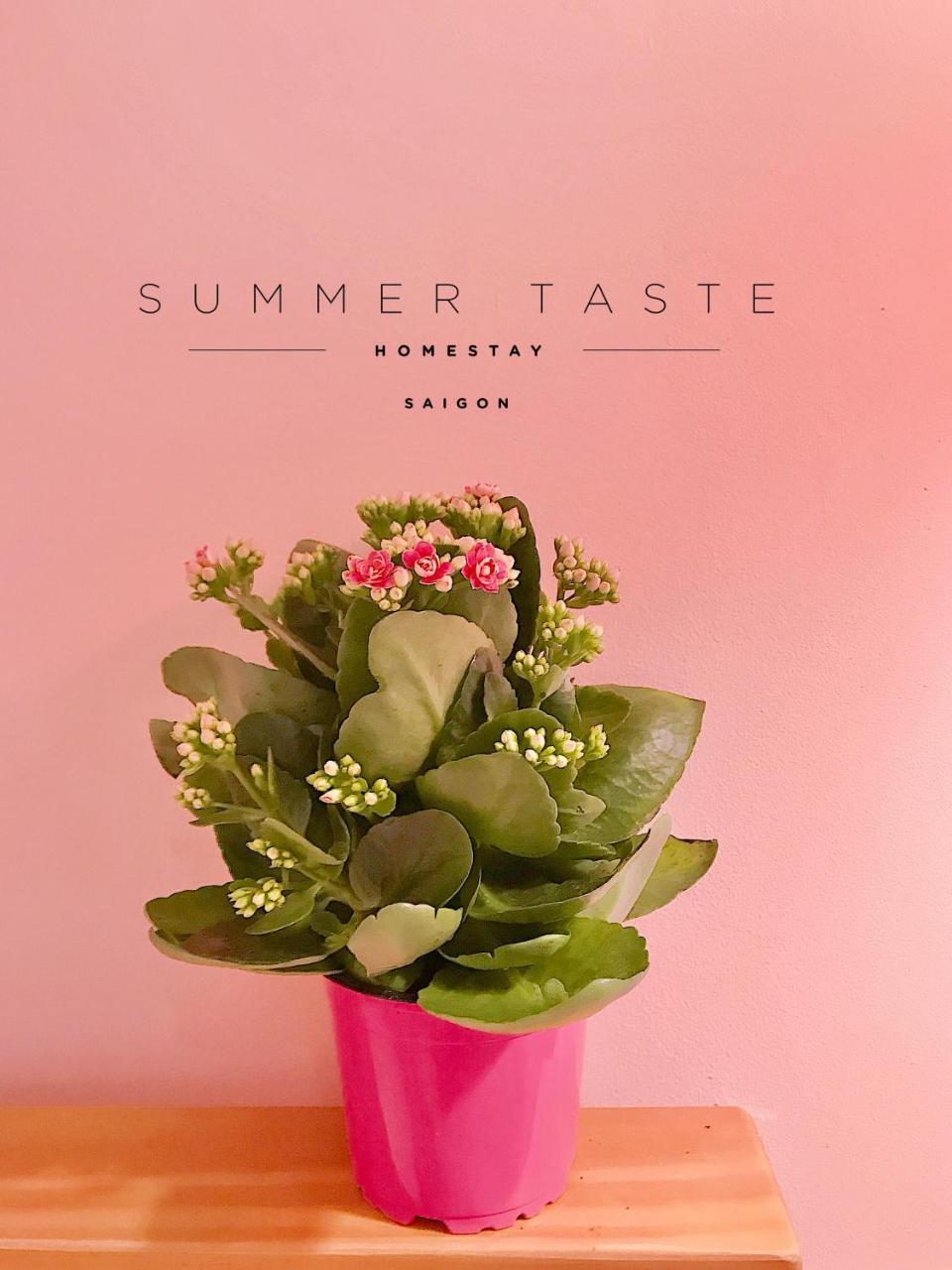 Summer Taste Homestay Ho Chi Minh-stad Buitenkant foto